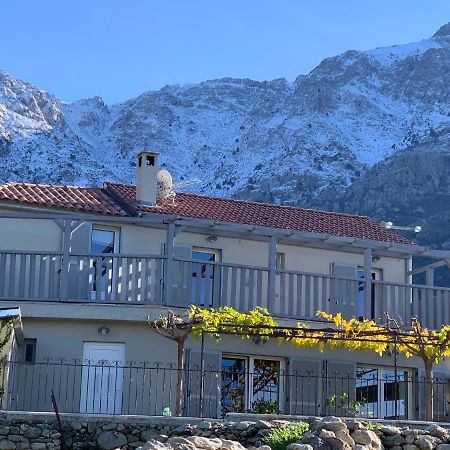 Casa Basgiu, Chambres Avec Balcon Et Table D'Hotes Zilia Exterior foto